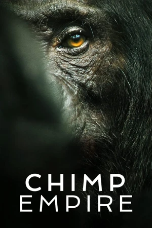 Đế Chế Tinh Tinh - Chimp Empire (2023)