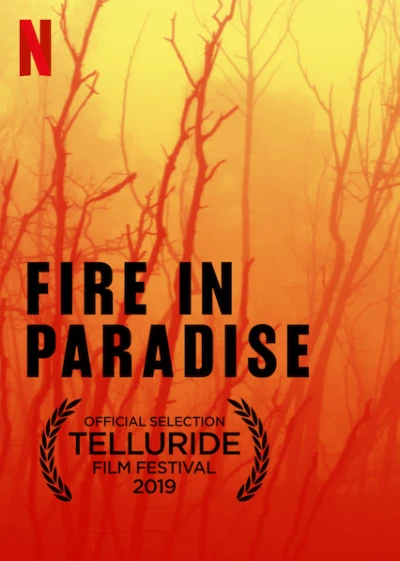 Hỏa Hoạn Tại Paradise - Fire In Paradise (2019)